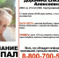 В Серпуховском районе пропал подросток - Glazey.Ru
