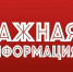 Отмена ограничительных мероприятий по бешенству животных на территории городского округа Серпухов - Администрация г. Серпухов
