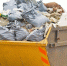 3cc8af7c-3a95-4bb4-a8ee-85591ce300ba.jpg - Газета Серпуховские вести