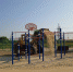 508dbe3e-7a18-4e09-b6f4-42c0a378ce44.jpg - Газета Серпуховские вести