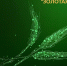 e68d5e99111203.Y3JvcCwxNjAwLDEyNTEsMCww.jpg - Газета Серпуховские вести