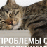 Серпуховичам рассказали, что делать в случае проблем с отоплением - Smitanka.Ru
