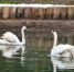 d7fb8ab8-ab69-495b-bf30-48493a088672.jpg - Газета Серпуховские вести