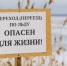 Серпуховичей предупредили о тонком льду - Smitanka.Ru
