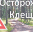 Осторожно! Клещи! - ОТВ-Серпухов