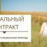 В Подмосковье больше всего социальных контрактов заключили на поиск новой работы - Управление соцзащиты населения