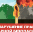 Серпуховичам рассказали правила пожарной безопасности в лесу - Smitanka.Ru