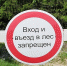 В Подмосковье ограничили посещение всех лесов - ОКА-ФМ