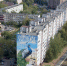 Павлин возглавил топ-граффити в Серпухове - Smitanka.Ru
