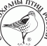 Тонкоклювый кроншнеп — птица 2023 года - Приокско-Террасный заповедник