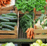 На какие продукты в Подмосковье прогнозируют снижение цен - Smitanka.Ru