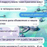 Стали известны жуткие подробности убийства ребенка под Тулой - ОКА-ФМ