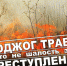 Палы сухой травы – угроза лесу и населенным пунктам - Администрация г. Серпухов