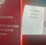 Руководителя крупнейшего сельхозпредприятия Серпухова отметили высокой наградой в Госдуме - Smitanka.Ru
