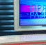 «Прямой разговор» в День орнитолога - Приокско-Террасный заповедник