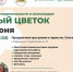 День благотворительности и милосердия пройдет в Серпухове - Smitanka.Ru