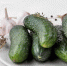 Самые вкусные малосольные огурцы получаются так - ОКА-ФМ