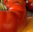 Богатый урожай помидоров? Полейте растения этим кисломолочным продуктом - ОКА-ФМ
