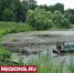 В Липицах начали расчистку пруда в усадебном парке - Regions.Ru