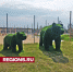 «Серпуховские Гавайи» откроет физкультурный фестиваль 7 сентября - Regions.Ru