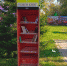 Шкаф, где можно оставить прочитанную книгу вернули в парк «Питомник» - Regions.Ru