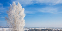 Первый месяц зимы удивит погодными аномалиями в Подмосковье - Regions.Ru