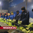 Медаль за поддержку бойцов СВО получил руководитель сельхозпредприятия Серпухова - Regions.Ru