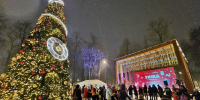 Серпуховская ель претендует на победу во Всероссийском конкурсе «Елки России» - Regions.Ru