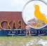 «Тепло из дома» отправили из Серпухова в Курскую область - Regions.Ru