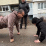Меценат из Серпухова построит спортплощадку в одном из городских дворов - Regions.Ru