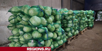 Сельхозпредприятие Серпухова обеспечит жителей свежими овощами до следующего урожая - Regions.Ru