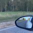 В Подмосковье ввели новый штраф для автомобилистов - ОКА-ФМ