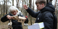 В Серпухове в Городском бору установили около 250 кормушек для птиц - Regions.Ru