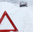 Олень погиб в аварии под Серпуховом - Regions.Ru