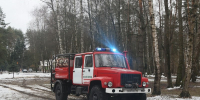 В лесах Серпухова очистят противопожарные полосы и проложат дороги для спецтехники - Regions.Ru