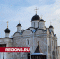 «Кошкин дом» обнаружили жители в серпуховском монастыре - Regions.Ru