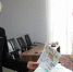 В Серпухове дети нарисуют полицейских и получат приз - Regions.Ru