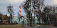 В Серпухове порывы ветра могут достигнуть 24 м/с - Regions.Ru