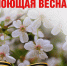 Спецпроект "Поющая весна" - ОТВ-Серпухов