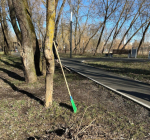 В городском округе Серпухова продолжается весенне-летняя уборка территорий