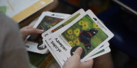 В Серпухове запущен образовательный проект "Заповедная азбука" - Smitanka.Ru