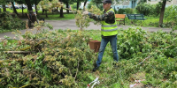 В Серпухове убрали упавшее дерево на улице Народного Ополчения - Regions.Ru