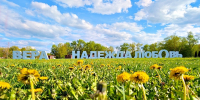 Ромашковое настроение: чем удивит День семьи, любви и верности в Серпухове - Regions.Ru