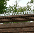 Бесплатную диспансеризацию можно будет пройти в Серпухове в субботу, 16 августа - Smitanka.Ru