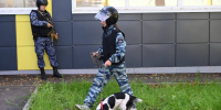 Антитеррористические учения прошли в школах Серпухова - ОТВ-Серпухов