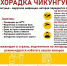 Что следует знать о лихорадке чикунгунья - ОТВ-Серпухов
