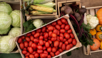 Какие продукты подешевели осенью. И это не только овощи