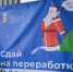 В Серпухове пустят хвойные деревья на корм животным и щепу - Smitanka.Ru