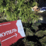 На Крещение в Серпухове оборудуют 8 купелей - Smitanka.Ru