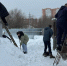 В Серпухове собак и кошек выручили из снежного плена - Smitanka.Ru